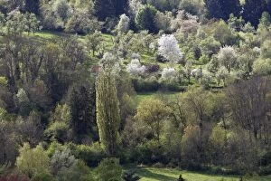 Images Dated 19th April 2009: Landscape in Haute Saone - France