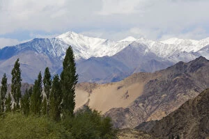 Images Dated 16th May 2011: Landscape of the Himalayas, Ladakh, India