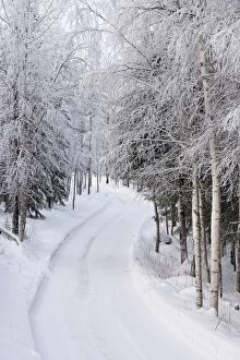 Landscape. Scenic view of snow covered road &