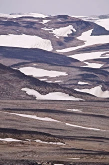 Landscape Scoresby sound East Coast of Greenland