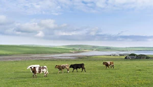 Landscape on South Ronaldsay, Orkney Islands