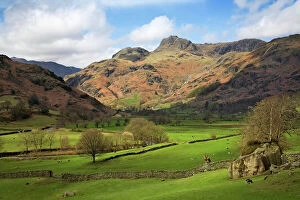 Colours Collection: Langdale Pikes in autumn sunshine - Lake District - England