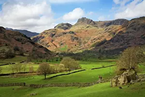 Hill Prints: Langdale Pikes in autumn sunshine - Lake District - England
