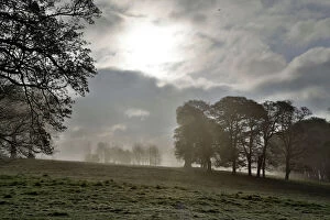 Images Dated 3rd May 2013: Lanhydrock Estate - on misty morning