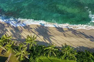 Laniakea Beach, North Shore, Oahu, Hawaii Date: 28-04-2021