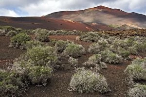 Lanzarote - volcanic landscape near to Timanfaya