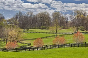 Images Dated 8th August 2011: Large field and fence line in Louisville