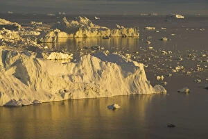 Iceberg Gallery: large icebergs at midnight, end of June