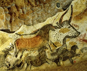 Rocks Collection: Lascaux cave painting Period: Paleolithic, c. 18, 000 years ago, Vezere Valley, Dordogne