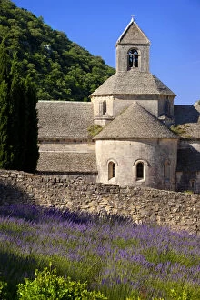 Abbey Gallery: Lavender field below the historic Abbaye
