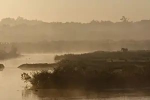 Le Parc Ornithologique du Teich - Arcachon - Bassin d'Arcachon - Gironde - France