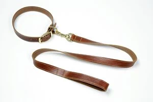 Leather dog collar & lead
