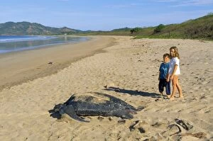 Child Gallery: Leatherback / Leathery Turtle - on beach with two children
