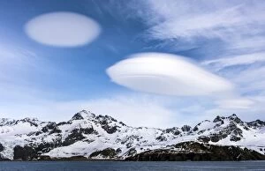 South Georgia Gallery: Lenticular clouds over snow-capped mountains