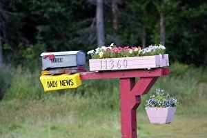 Letterbox / mailbox and flowerpots