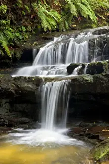 Leura cascades - beautiful little waterfall rushes down over moss-covered rocks, surrounded by lush vegetation of mostly ferns - Leura Cascades, Blue Mountains National Park, New South Wales, Australia