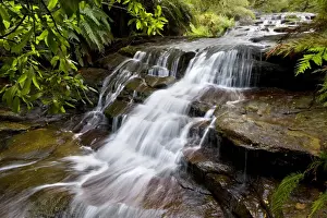 Leura cascades - beautiful waterfall rushes down over moss-covered rocks, surrounded by lush vegetation of mostly ferns - Leura Cascades, Blue Mountains National Park, New South Wales, Australia