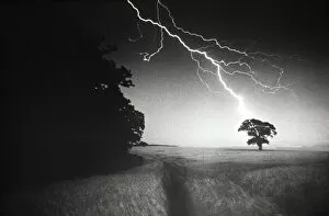 Images Dated 19th March 2008: LIGHTNING STRIKING A TREE