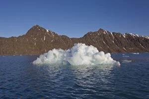 Images Dated 24th August 2014: Lilliehoeoek ice Ice Floe Lilliehoeoek-Fjord at Krossfjo
