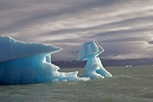 Images Dated 5th August 2012: Lilliehook Glacier. Krossfjorden, Svalbard, Spitzbergern