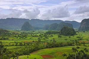 Limestone hill and farming land in Vinales