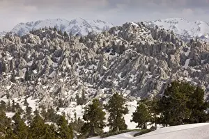 Limestone Karst landscape, with remnants of coniferous forest, in the Yaban Hayati National Park - Taurus Mountains, south Turkey
