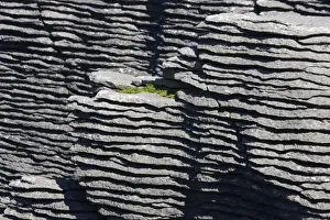 Limestone outcrops on cliffs. Punakaiki - South Island - New Zealand. Pancake rocks form the main focus for visitors in Paparoa National Park where huge outcrops of limestone have been formed by a process called stylobedding