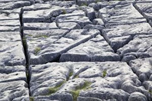 Images Dated 20th October 2011: Limestone Pavement - Malham - Yorkshire - UK