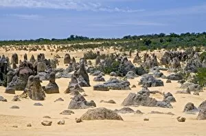 Images Dated 4th November 2009: Limestone pillars in the Pinnacle Desert