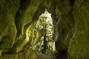 Limestone Tunnel - a narrow path leads through a cave-like tunnel of limestone