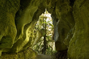 Images Dated 15th March 2008: Limestone Tunnel - a narrow path leads through a cave-like tunnel of limestone