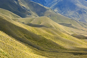 Images Dated 12th February 2008: Lindis Pass rolling grassy hills around Lindis Pass Lindis Valley, Otago, South Island, New Zealand