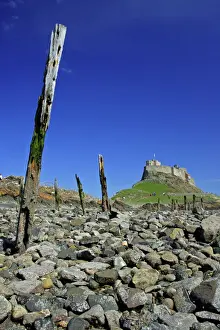 Buildings Prints: Lindisfarne, Holy Island-view of castle taken from the beach at low tide