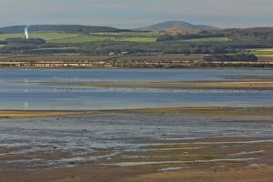 Lindisfarne National Nature Reserve - view from Holy Island across reserve towards Cheviot Hills