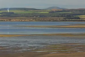 Lindisfarne National Nature Reserve - view from Holy Island across reserve towards Cheviot Hills, Northumberland, England