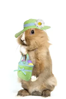 Basket Prints: Lion-headed Dwarf Rabbit - easter bunny wearing hat & carying handbag full of easter eggs