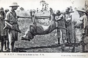 Lion hunting in Central African Republic, old postcard c1910
