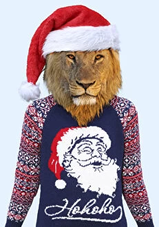 Lion, male wearing Christmas jumper and Christmas hat