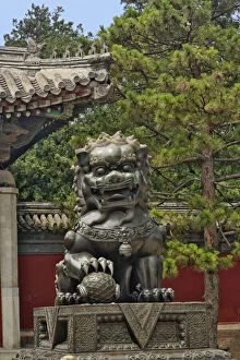 Beijing Gallery: Lion statue, Forbidden City, Beijing, China