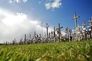 LITHUANIA, Siauliai. Heaps of crosses