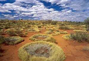 Little Sandy Desert, Western Australia