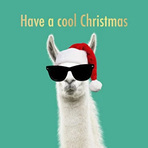 Llama wearing Christmas hat and sunglasses
