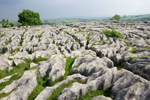 Damage Prints: Llimestone pavement above Malham Cove has been deeply eroded by acid rain leaving clints (lumps of limestone)