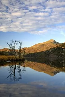 Images Dated 19th October 2007: Llyn Gwynant - reflections on a beautiful autumn morning - November - North Wales - UK