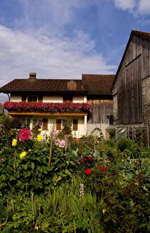 Local home with flowers in Balzers in small