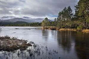 Vista Gallery: Loch Morlich - Cairngorms - Scotland - UK