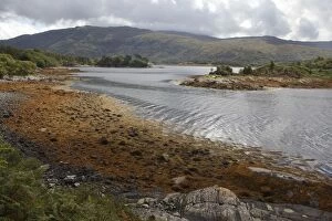 Images Dated 22nd August 2010: Loch Sunart