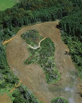 Images Dated 16th January 2009: Logging roads & forest clearing showing loss of biodiversity near Cumberland Lake, West coast