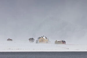 Lonely houses in snow storm at Limstranden in winter