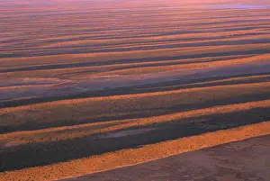 Longitudinal dunes over alluvial plain of clay & gibber Simpson Desert, South Australia JPF41733